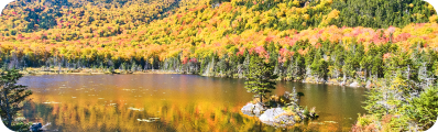 miniature cluster states New Hampshire