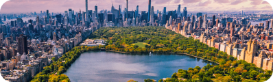 miniature cluster states New York